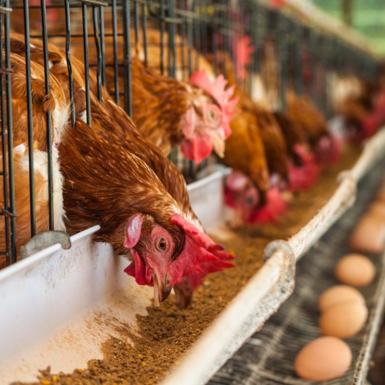 Agric Finance